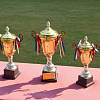 trophy-83115_1280.jpg